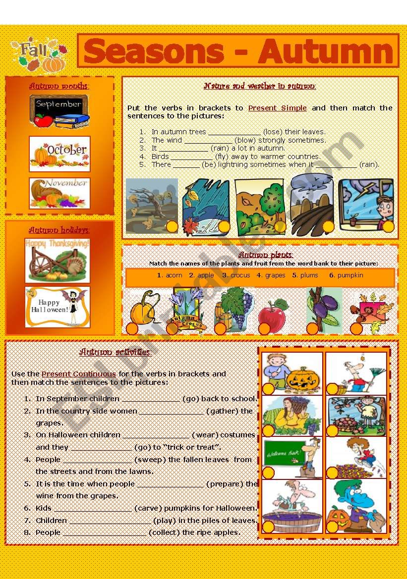 SEASONS - AUTUMN (5 - 8) worksheet