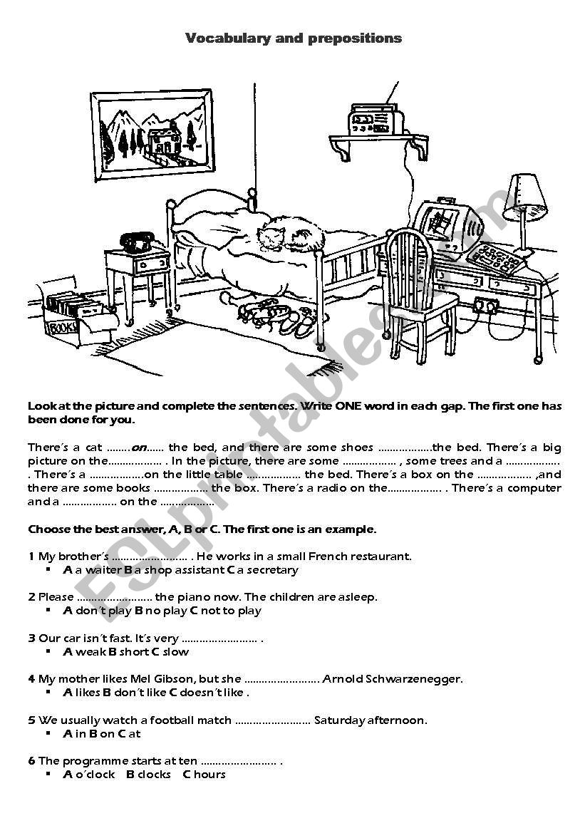 vocabulary and prepositions worksheet