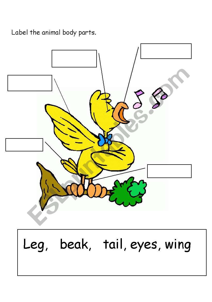 Parts of animal worksheet