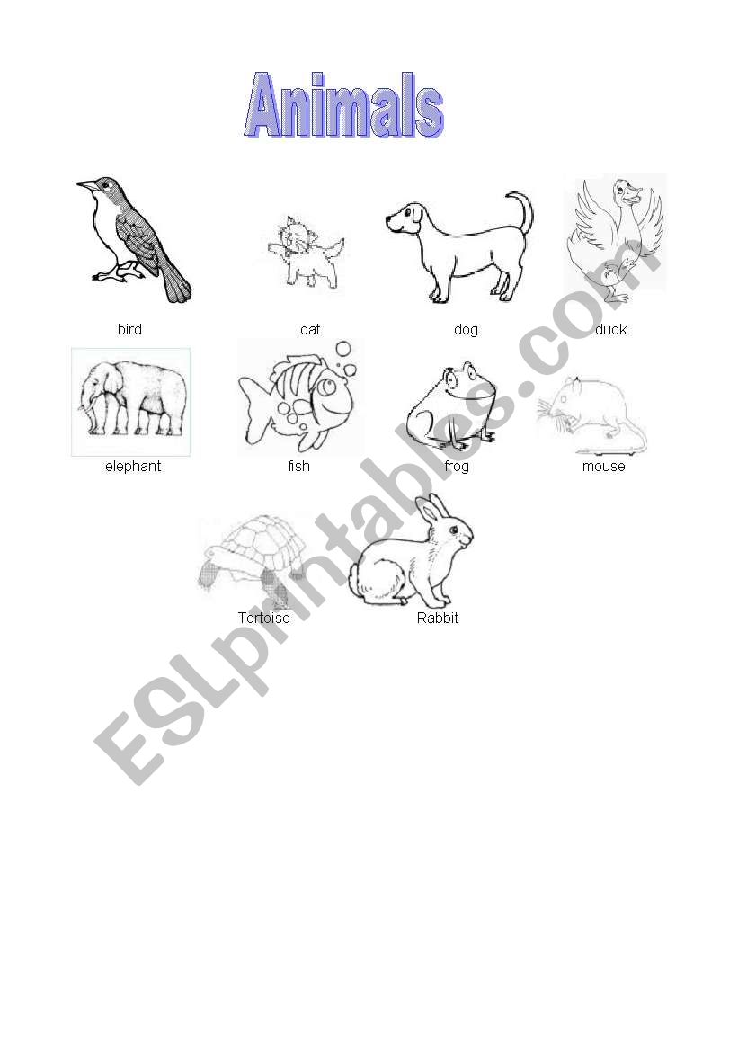 Animals worksheet