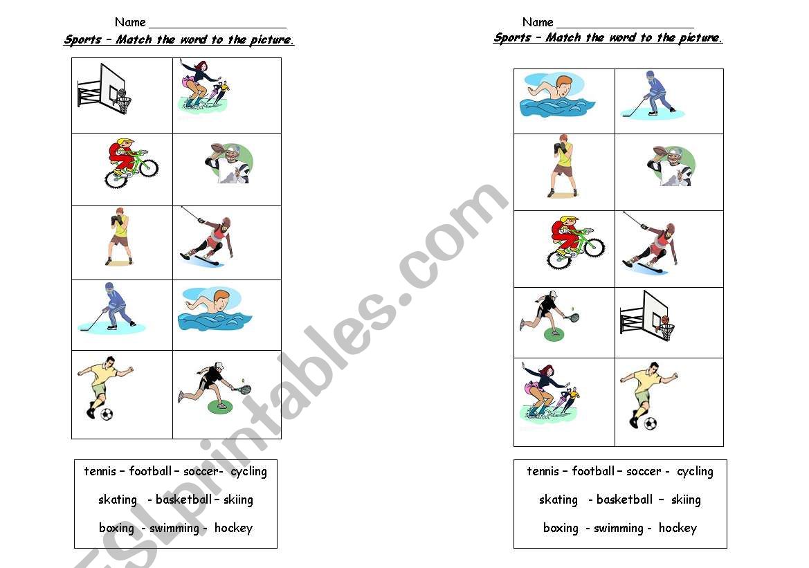 Sports worksheet