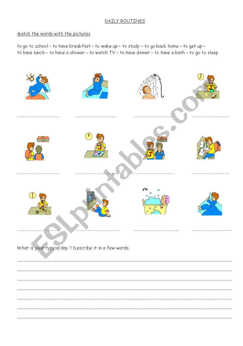 Daily routines worksheet