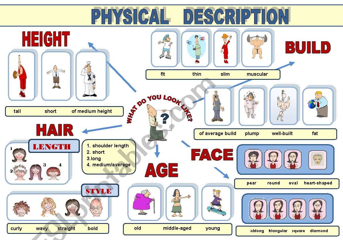 PHYSICAL DESCRIPTION -  POSTER (VOCABULARY-GUIDE IN A POSTER FORMAT)