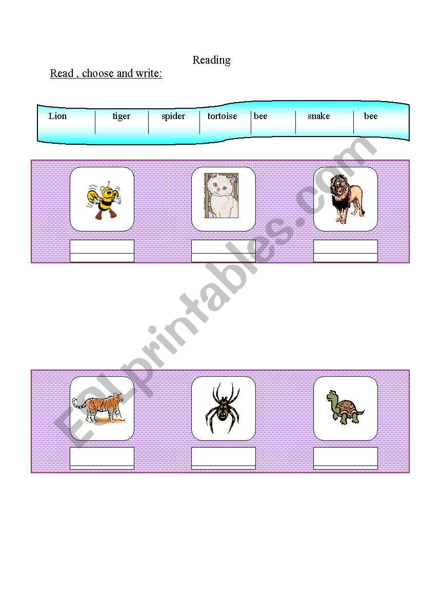 Animals worksheet