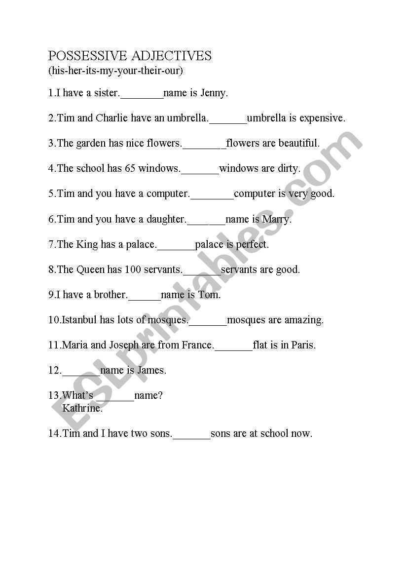 POSSESSIVE ADJECTIVES worksheet