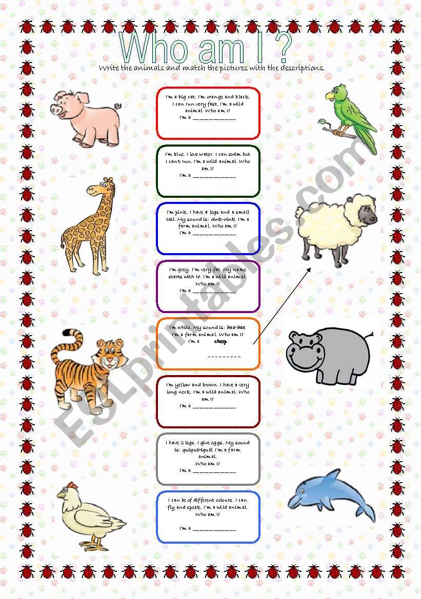 Who am I? worksheet