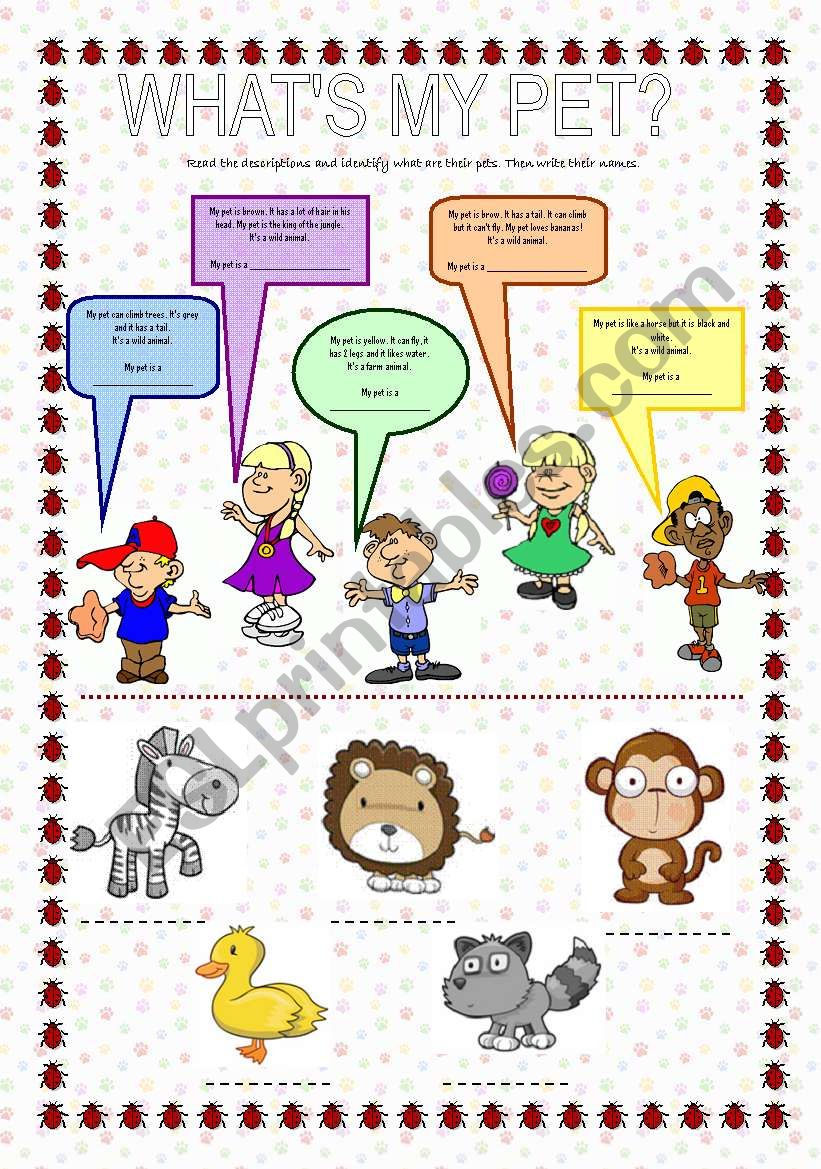 Whats my pet? worksheet