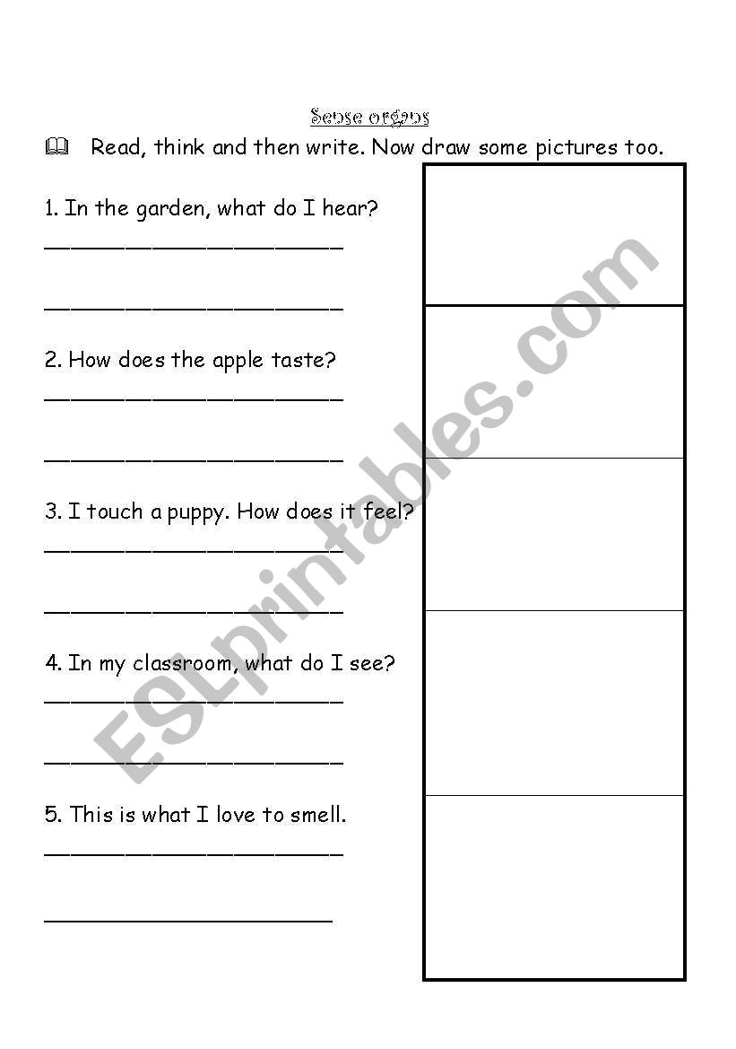 Sense organs worksheet