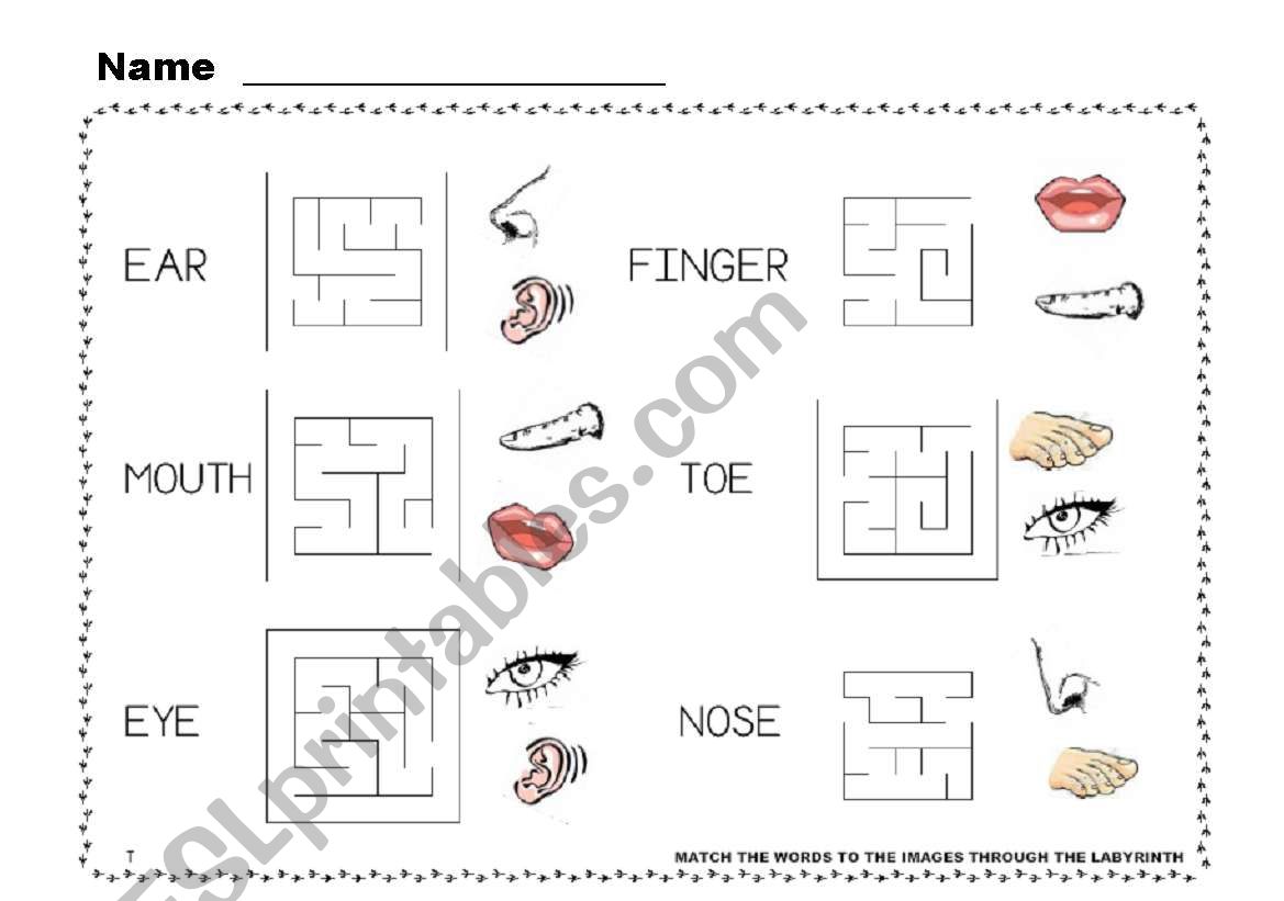 Touch your toes 2 / 4 worksheet