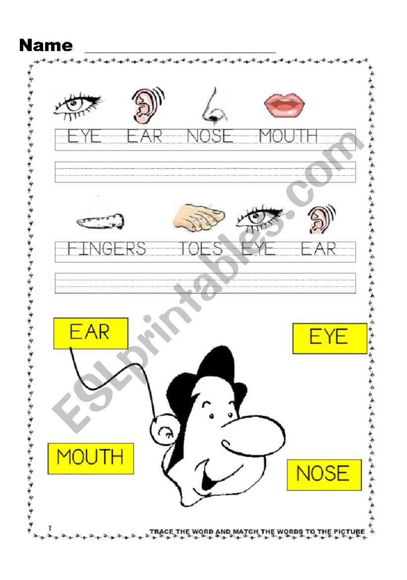 Touch your toes  3 / 4 worksheet