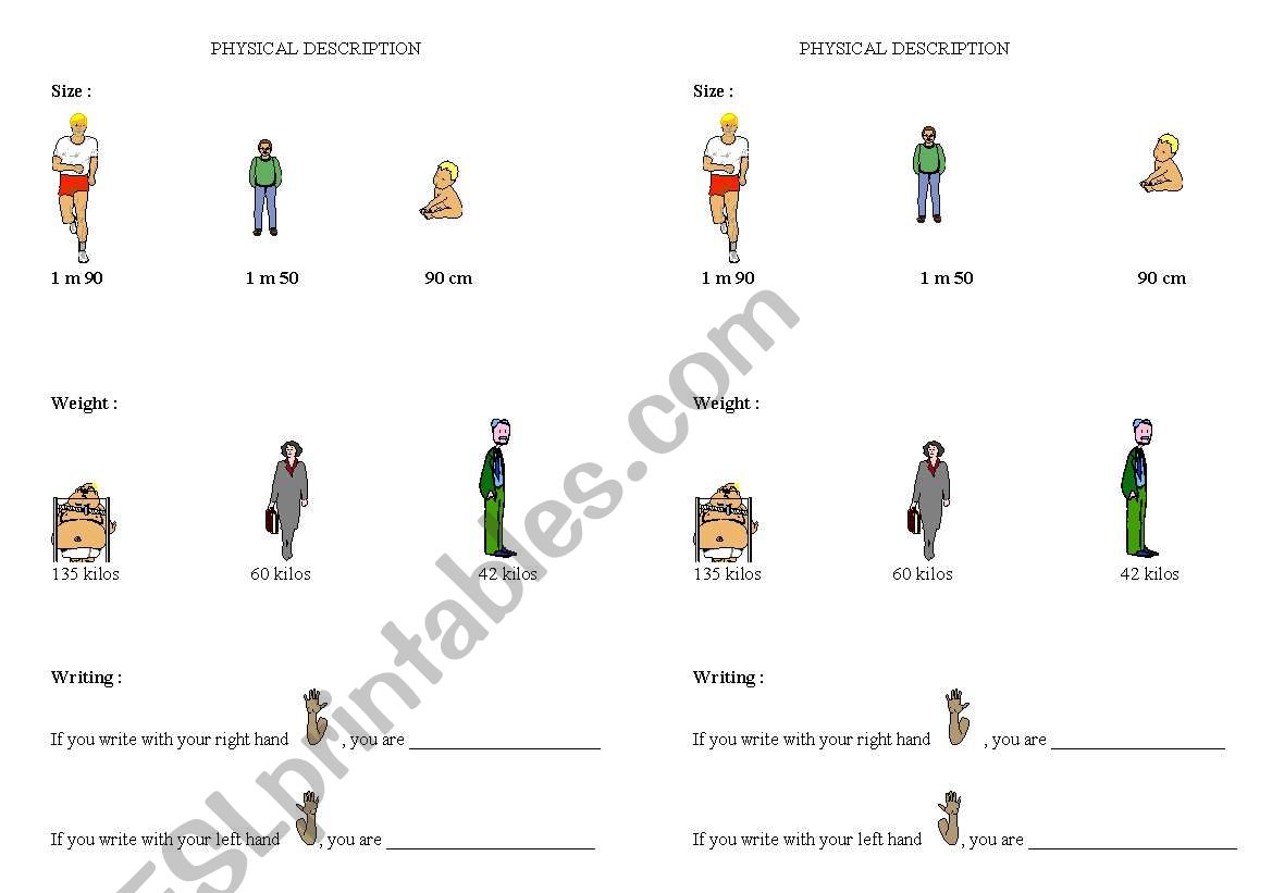 physical descritpion worksheet