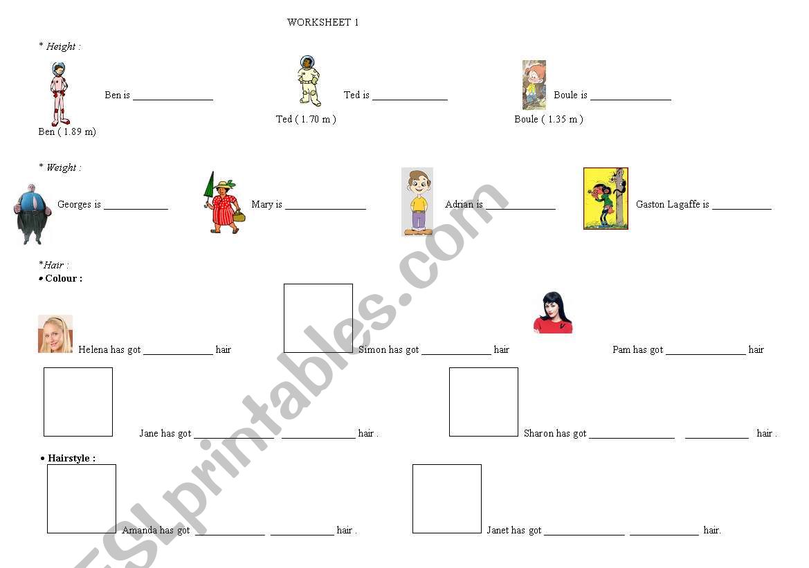 physical description worksheet