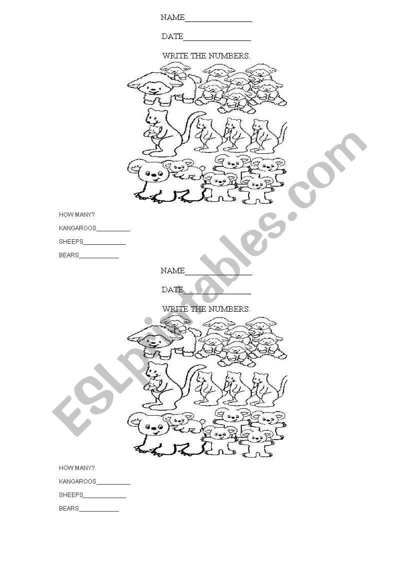 Numbers worksheet