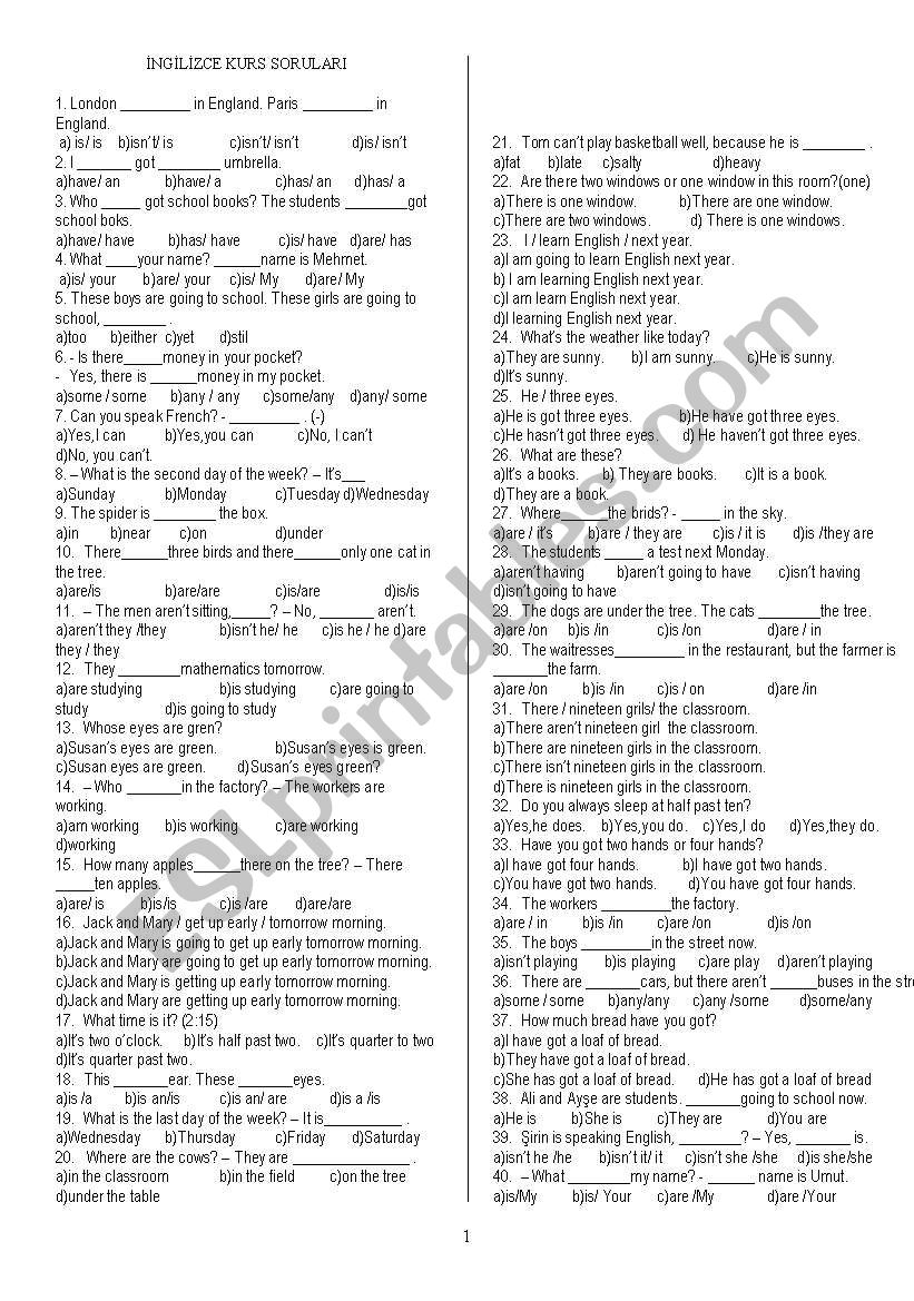 beginner level test worksheet