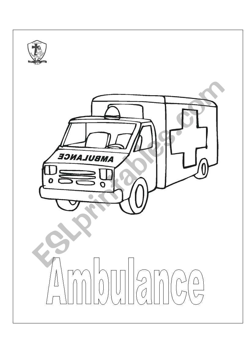 TRANSPORT worksheet