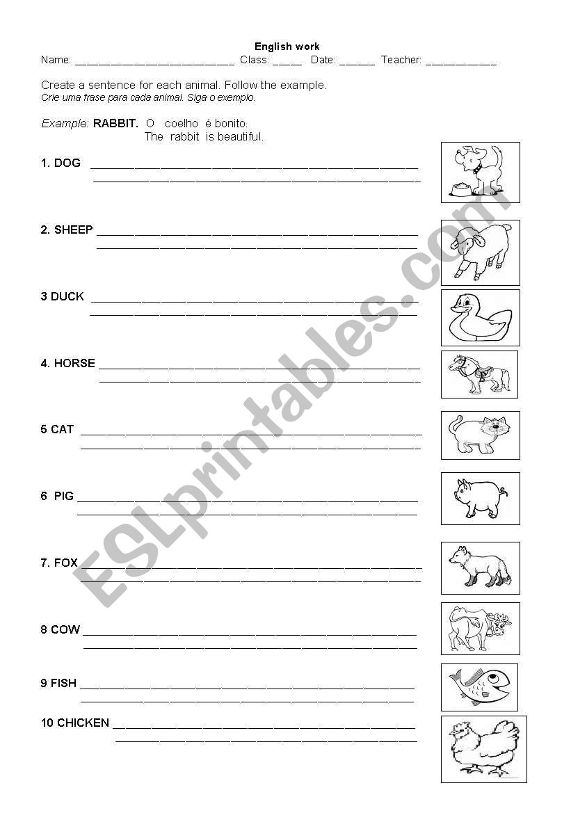 Animals worksheet worksheet