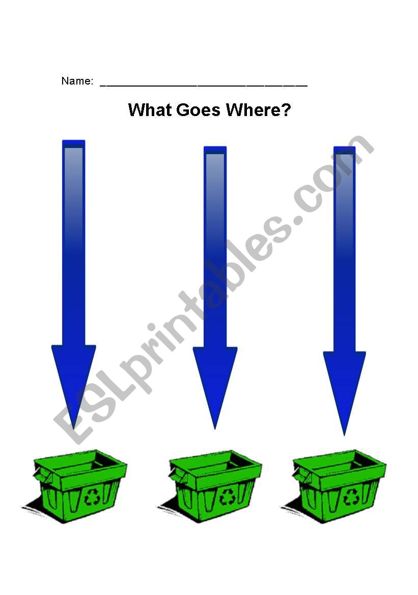What Goes Where? worksheet