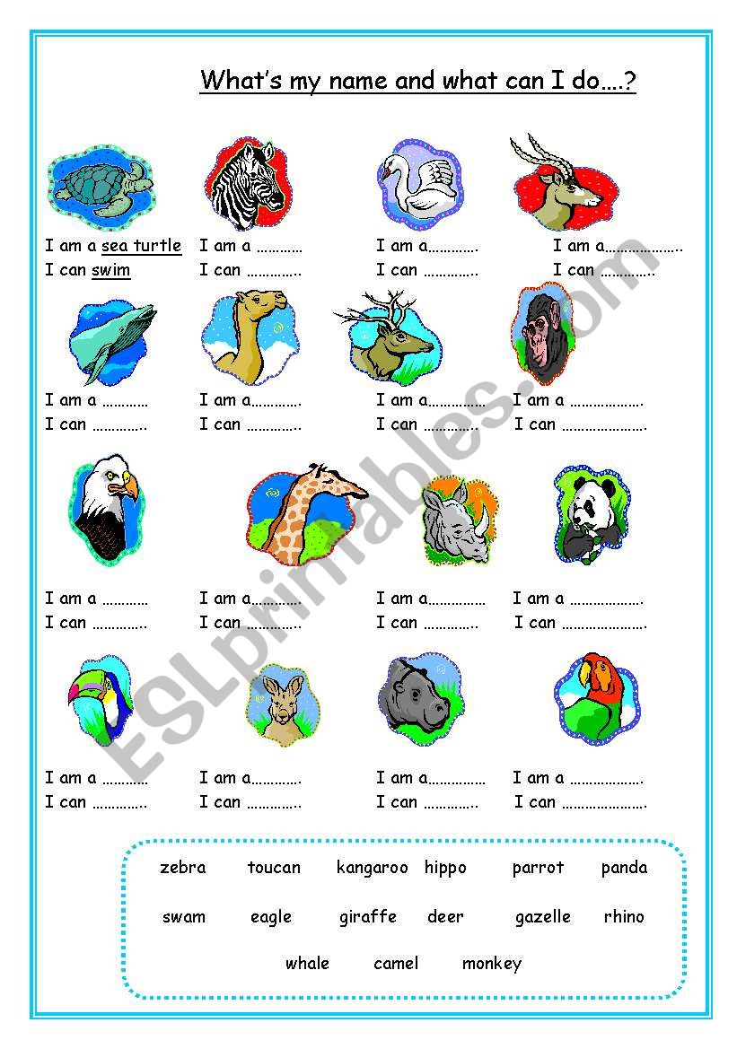 WHAT CAN A SEA TURTLE DO? worksheet