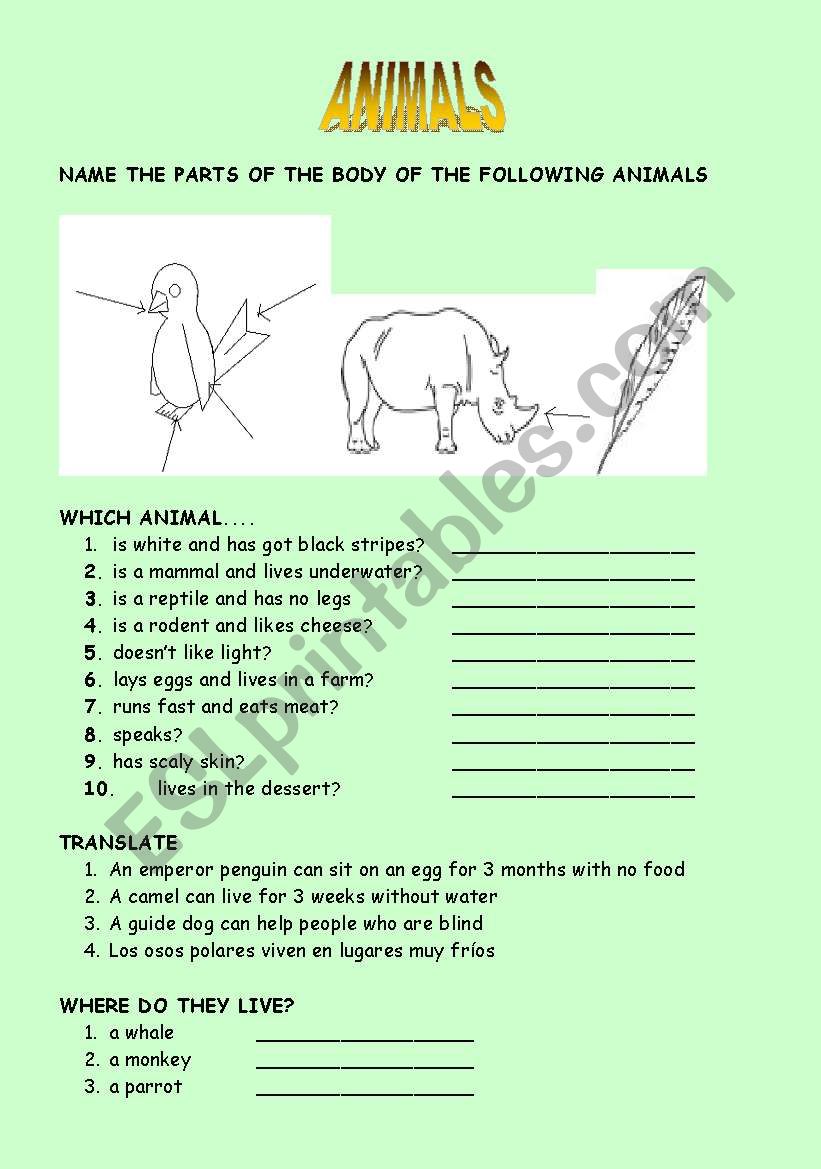 WILD ANIMALS worksheet