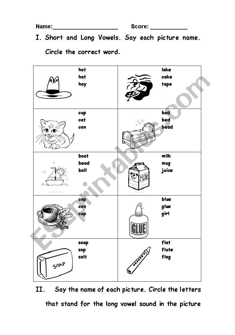 Short and Long Vowel worksheet