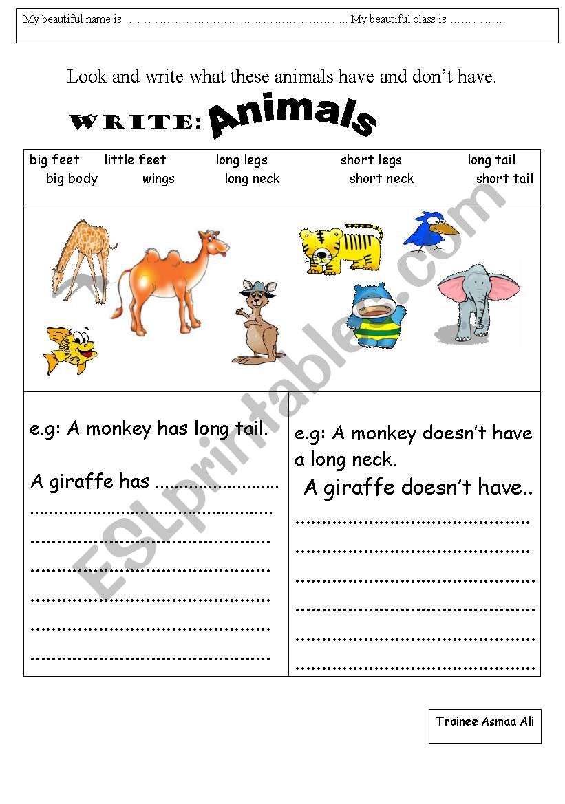 has and doesnÂ´t have worksheet