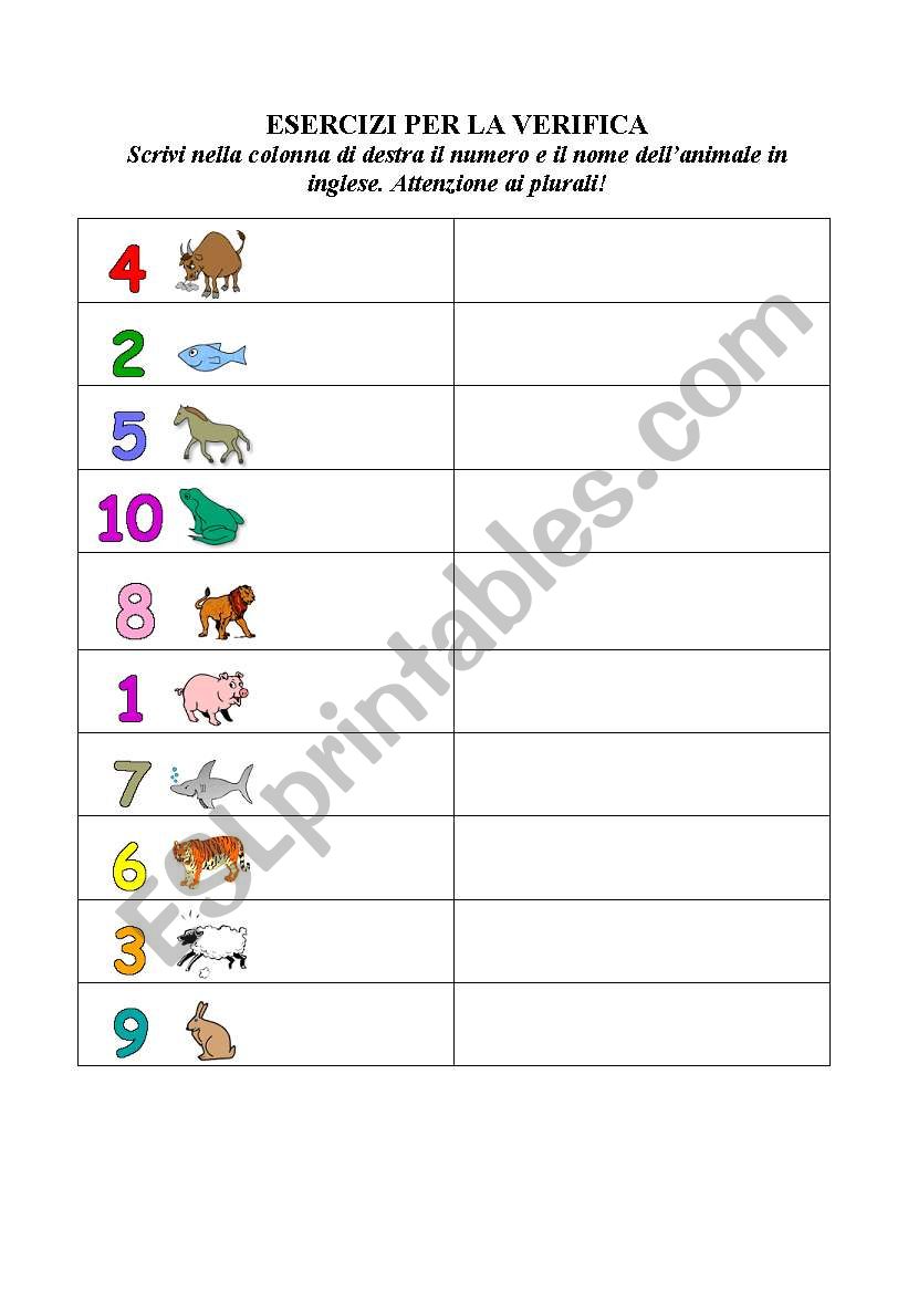 Test plurals animals numbers worksheet