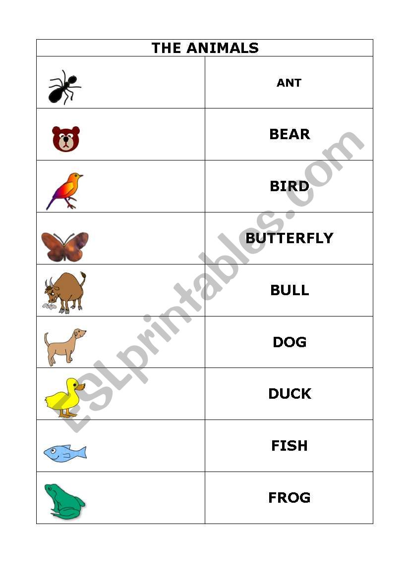 THE ANIMALS worksheet
