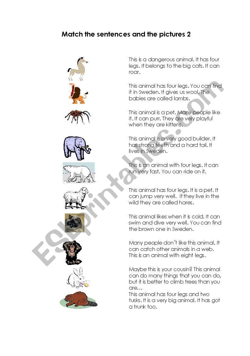 Animal riddles 2 worksheet