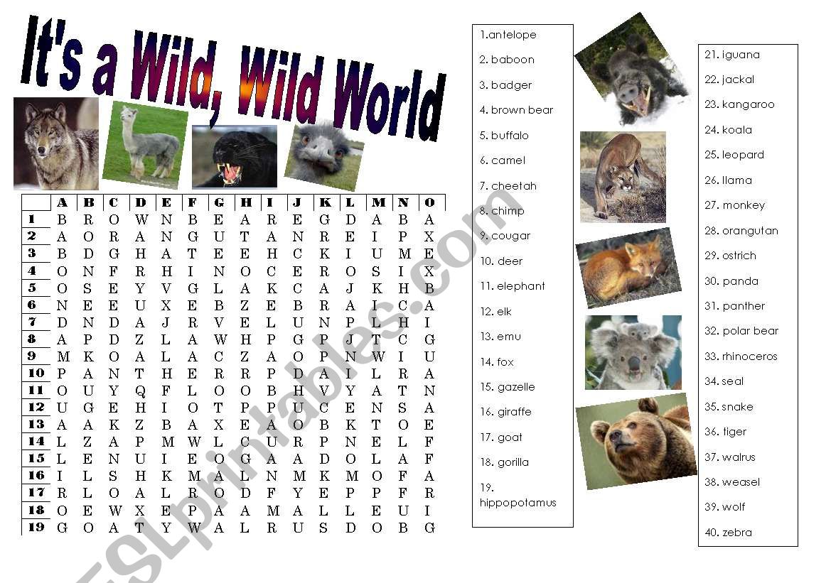 WILD ANIMALS WORDSEARCH worksheet