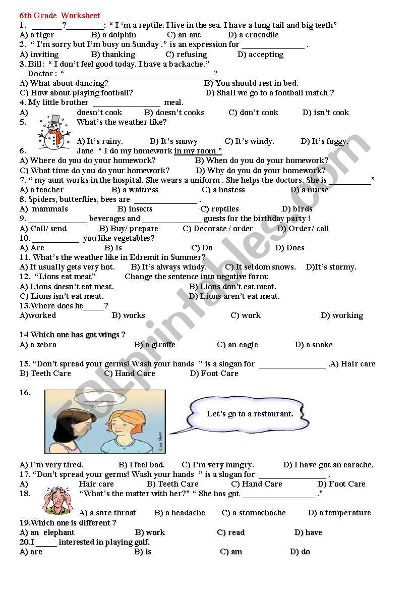 6th grade worksheet worksheet