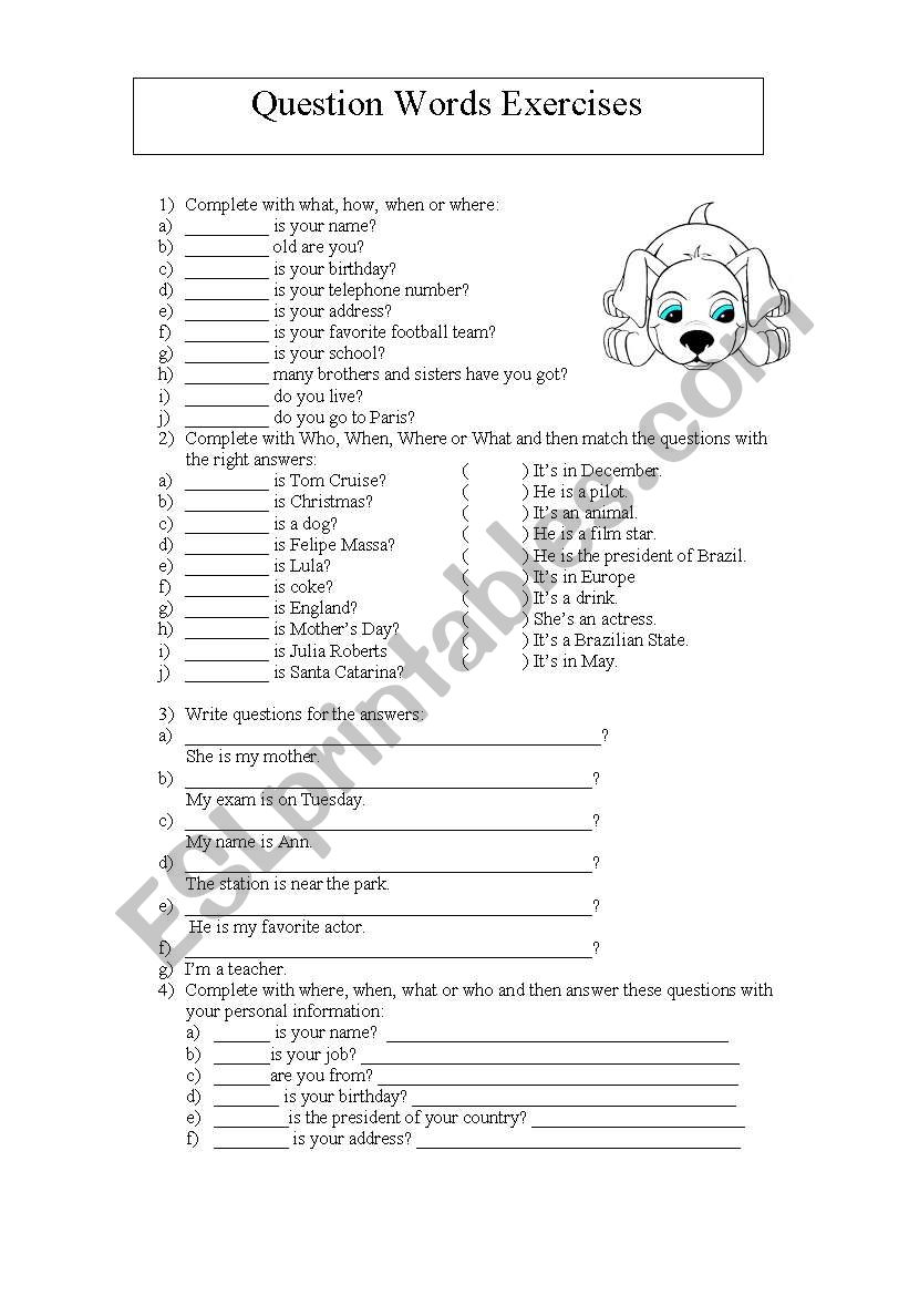 Question words exercises worksheet