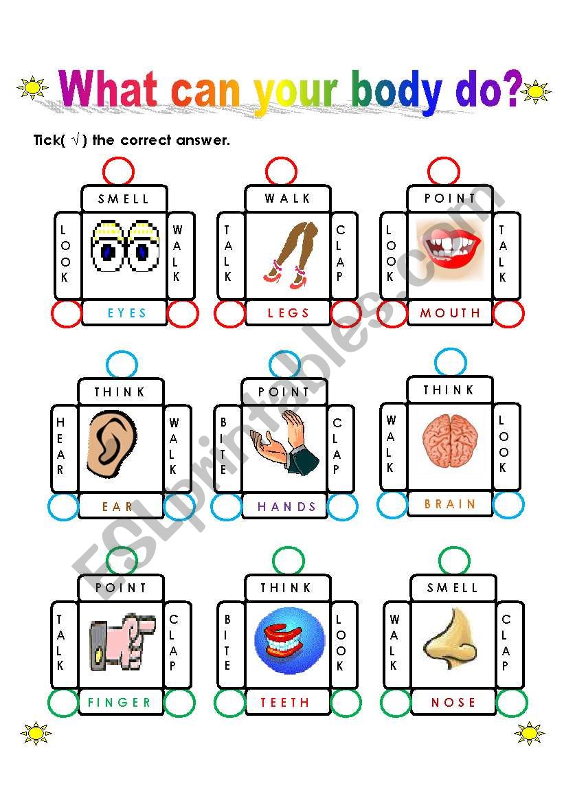 What can your body do? worksheet