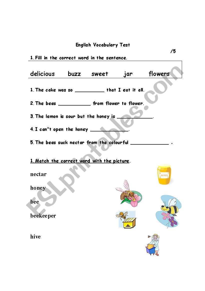 vocab test worksheet