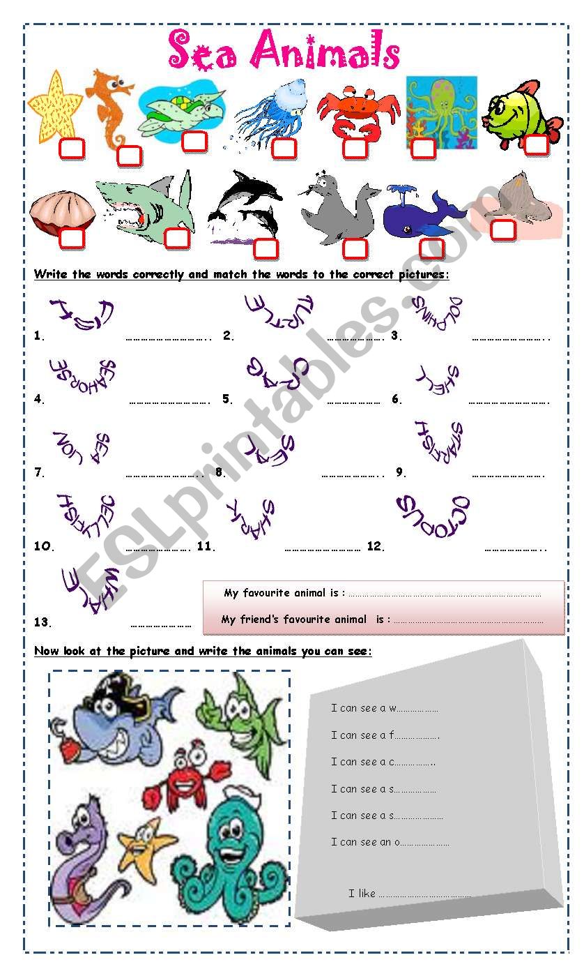 Sea animals worksheet