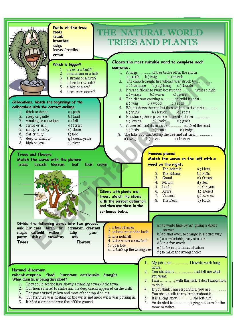 The natural world - Plants and Trees