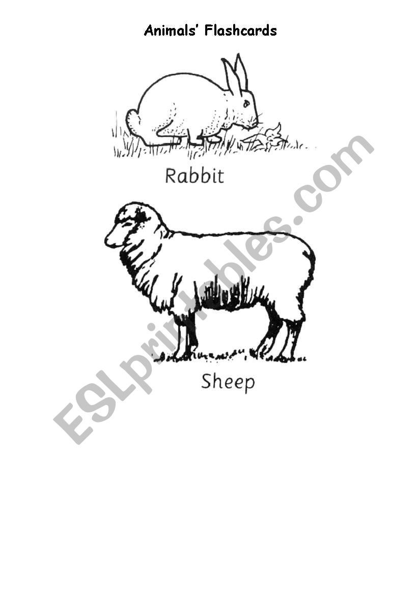 Animals Flashcards (III) worksheet