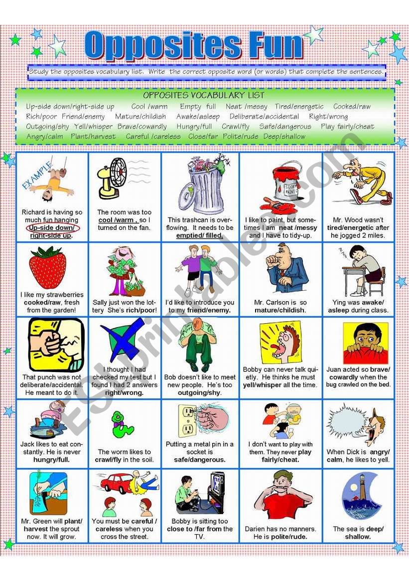 OPPOSITES FUN worksheet