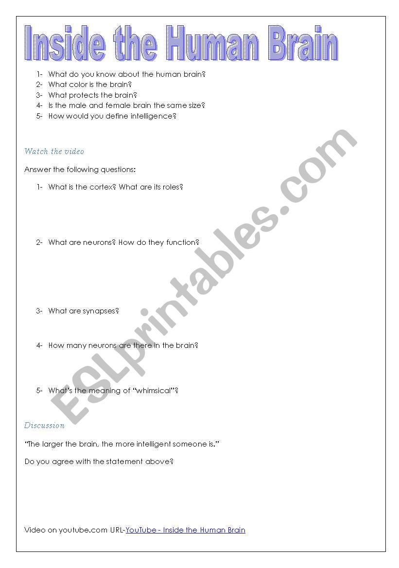 The Human Brain worksheet