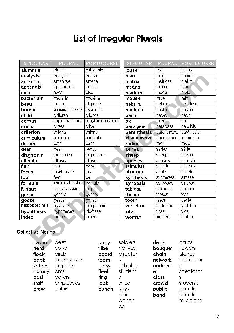 Irregular plurals worksheet