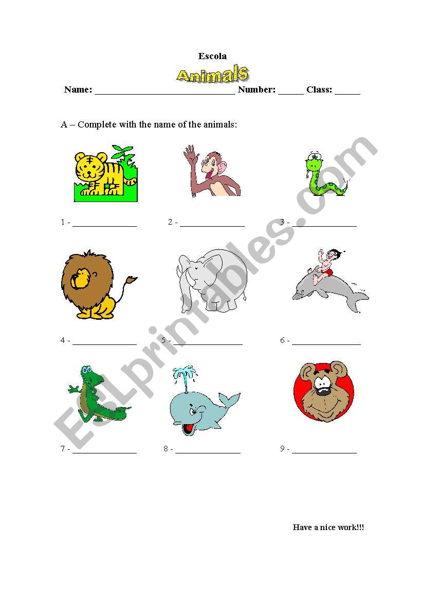 some animals worksheet