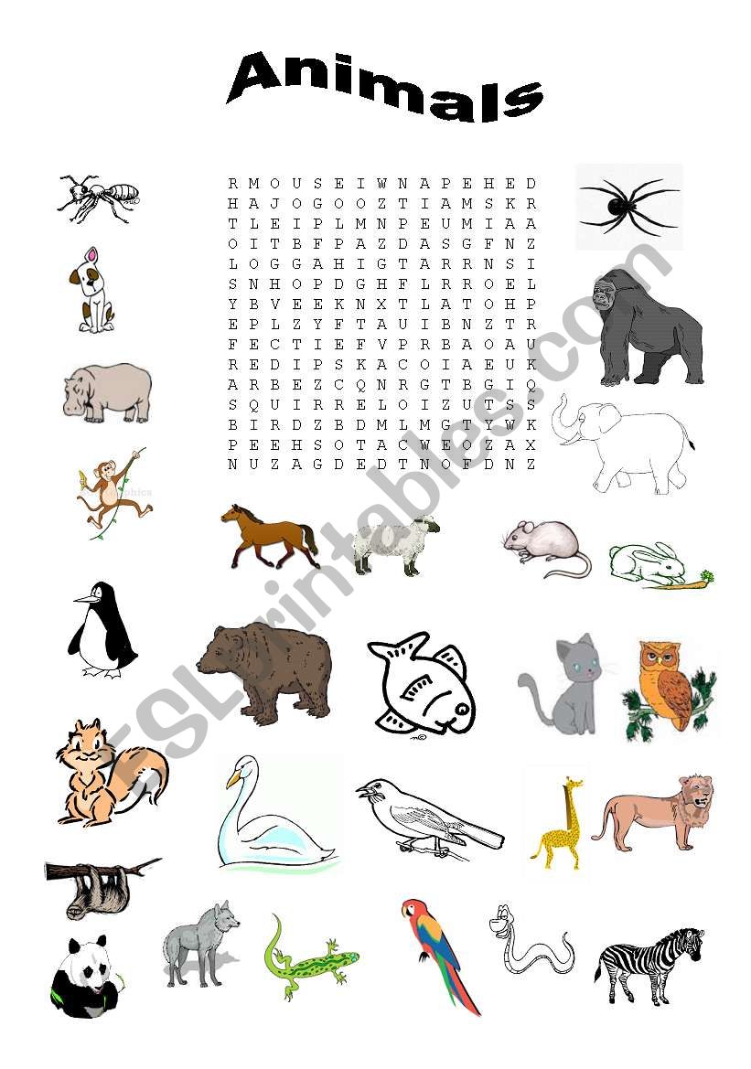 Word search - animals worksheet