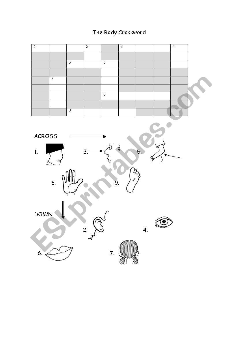 THE BODY CROSSWORD worksheet