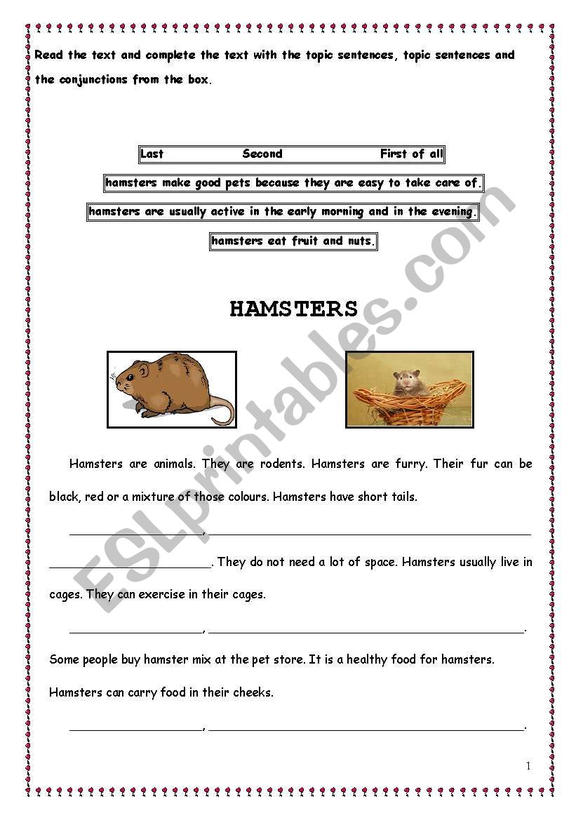 topic sentences and linking words