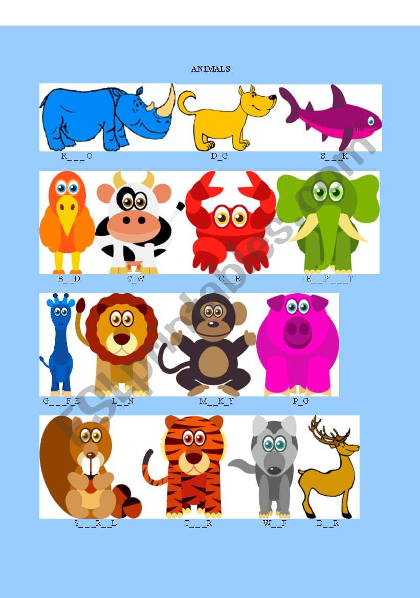 animals flash card with the name of the animals part 2 evaluation 