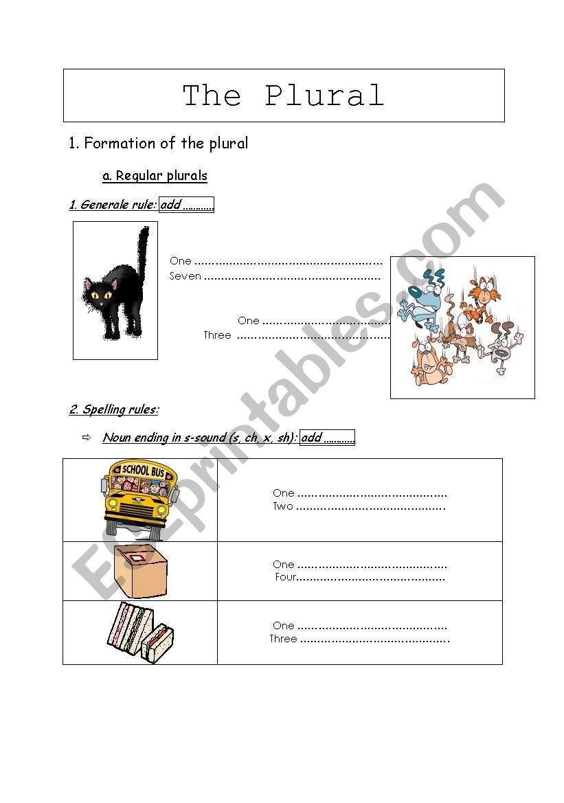 the plural worksheet
