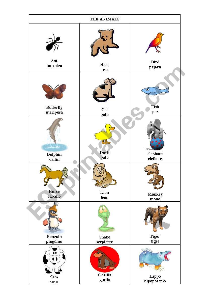 Animals2 worksheet