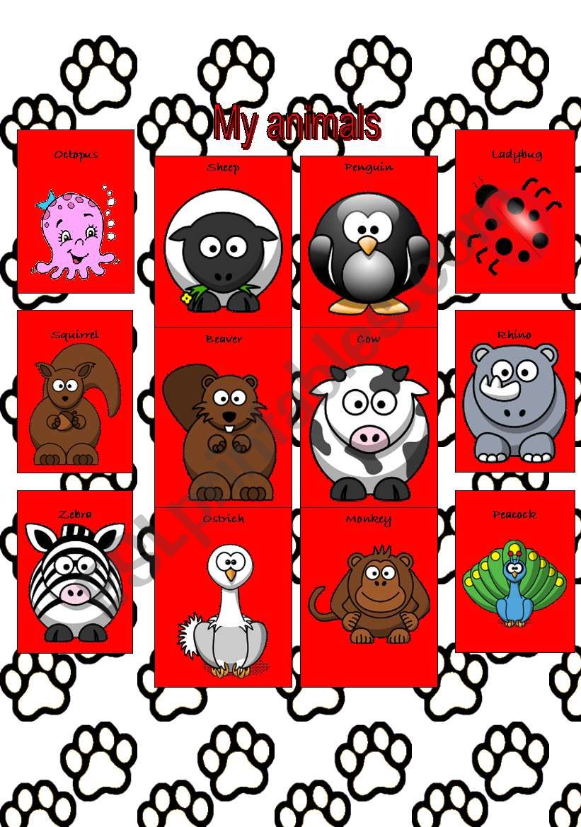 animals poster 1 of 3  worksheet