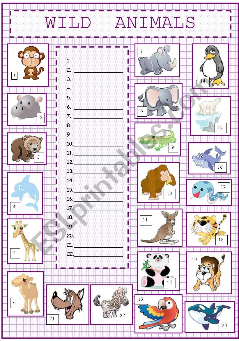 Wild Animals worksheet