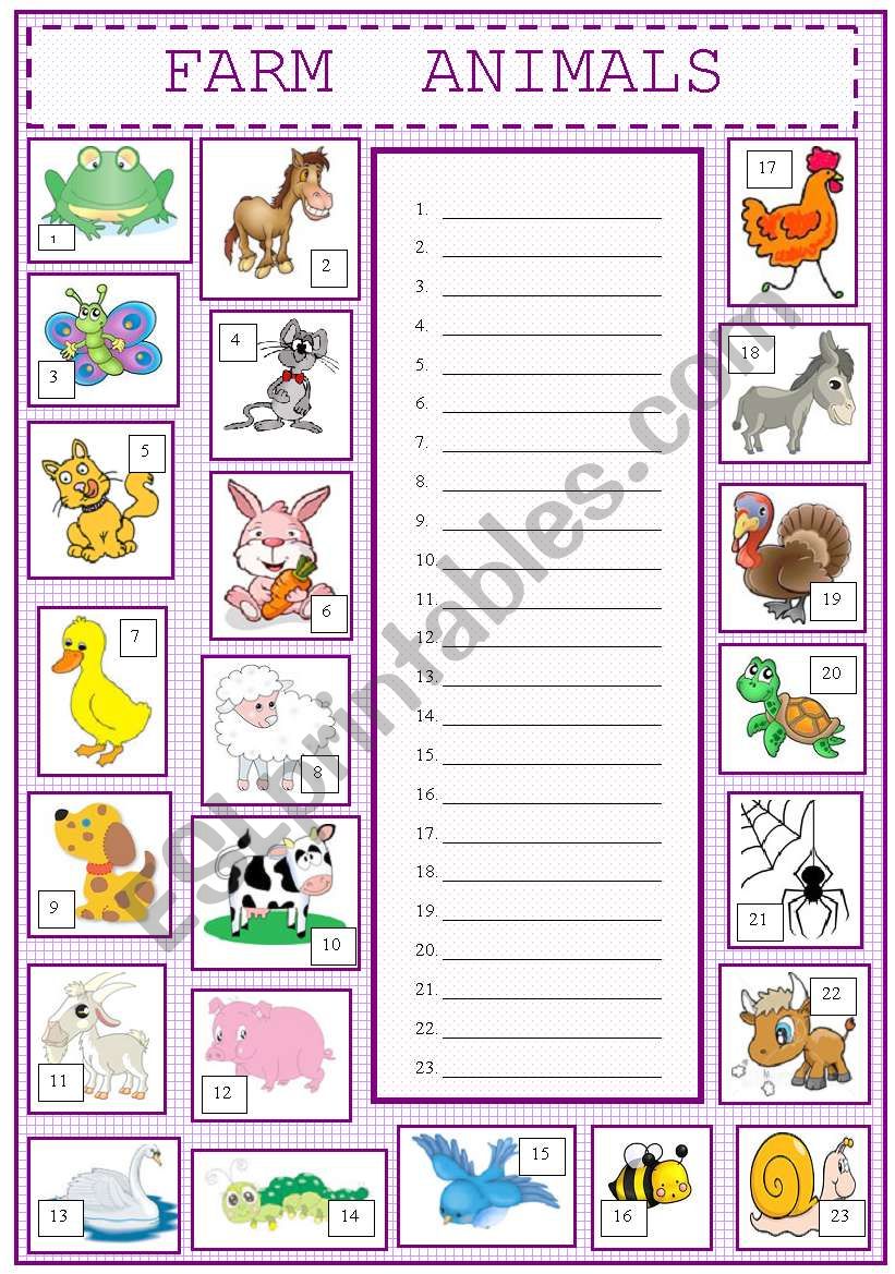 Farm Animals  worksheet