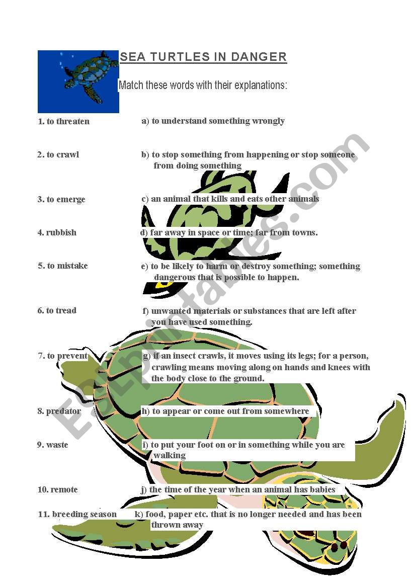 Sea turtles in danger worksheet